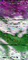 mtvza_rgb_Soil_Moisture.png